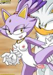  anal anal_penetration blaze_the_cat breasts cum cum_inside feline female from_behind mobian mobius_unleashed nude penetration penis purple pussy sega sex silver_the_hedgehog smile sonic_(series) standing 