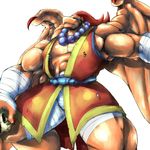  bad_pixiv_id bandages beads beak breath_of_fire breath_of_fire_iii claws diefeen garr highres horns monster no_humans robe solo wings 