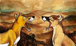  canine culpeofox feral fox mammal marsupial non-anthro thylacine 