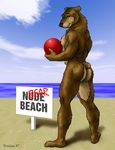 bear butt male mammal muscles seaside solo wookiee wookiee_(artist) 