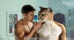  advertisement cat cgi cougar feline gay human male orangina photo real 