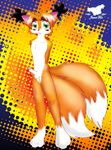  balls canine erection fox green_eyes hair jamesfoxbr jamesfoxbr_(character) kitsune looking_at_viewer male multiple_tails nude orange penis scarf solo standing tail 