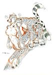  bite breasts cheetah color couple el_muzzle_rover feline female feral male mammal nude penetration plain_background sex sketch spots straight taur vintage white_background 