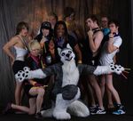  balto_woof baltowoof bandanna black_eyes canine dog dreadlocks emo eyewear fursuit gay glasses glowstick hipster human husky looking_at_viewer male mammal real scrumpet sneakers so_gay super_gay what young 