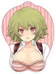  bad_id bad_pixiv_id bra breast_mousepad breasts cleavage green_hair kazami_yuuka lingerie lipstick makeup medium_breasts mousepad open_clothes plaid plaid_vest red_eyes short_hair smile solo touhou underwear urin vest 