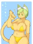  big_breasts bikini blush breasts cat clothed clothing feline female green_eyes green_hair hair mammal skimpy solo standing swimsuit thumbs_down vicb60012 wide_hips 