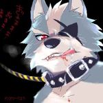  anthro canine collar cum cum_on_face cumshot facial grin leash looking_at_viewer mammal nintendo orgasm red_eyes solo star_fox translation_request unknown_artist video_games wolf wolf_o&#039;donnell wolf_o'donnell 