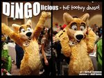  badge black_eyes canine convention cute dingo dog fangs female fursuit real solo sophiecabra yellow 