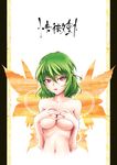  breast_squeeze breasts collarbone covering covering_breasts green_hair kazami_yuuka large_breasts lips mokei nude parted_lips pillarboxed red_eyes short_hair slit_pupils solo touhou upper_body 