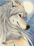  2009 brown_eyes bust canine casidhe colored conbadge ear_tufts female full_moon goldenwolf hair long_hair long_white_hair looking_at_viewer night smile solo whiskers white_hair wolf 