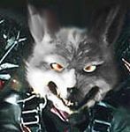  canine grey looking_at_viewer nintendo_power portrait solo star_fox video_games werwolf-witcher wolf wolf_o&#039;donnell 