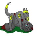  eeveelution female feral low_res lying male missionary_position nintendo on_back plain_background pok&#233;mon pok&eacute;mon sex straight umbreon unknown_artist video_games white_background zorua 