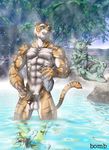  bomb_(artist) couple feline fog gay hot_spring lagomorph male muscles nude penis rabbit steam tiger water 