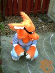  canine dragon female fox fursuit iko ikobi ikorane kyuubi orange photo real wolf 