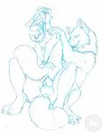  2010 anal bdsm bound canine fennec fox gay knot male markings ouch sabretoothed_ermine size_difference sketch white_background wolf 