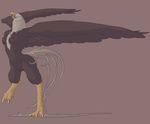  avian beak bird blue_eyes breasts brown_feathers chest_tuft eagle feathers female fur nipples non-mammal_breasts nude realistic_wings running simesava solo talons tuft wings 