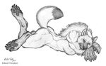  anthro biceps black_and_white canine female hindpaw iridium looking_at_viewer mammal monochrome muscles muscular_female paws plain_background richard_foley solo tail white_background wolf 