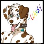  collar dalmatian dog drool drooling heterochromia male mammal piercing plain_background qaoss saliva solo white_background 