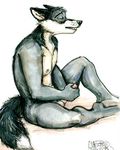  allison_reed canine eyes_closed fox humanoid_penis java male masturbation mudshark nude open_mouth penis plantigrade solo tail 