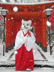  canine clothing cute fox fursuit japanese_clothing kemono mammal outside real snow snowing solo unknown_artist 