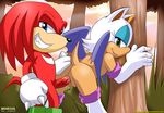  female from_behind knuckles_the_echidna male mobius_unleashed rouge_the_bat sonic_(series) straight 
