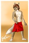  canine dingo dog male red sabre solo sxf-pantera towel 