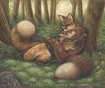  2009 canine dark_natasha digitigrade forest fox outside tree 