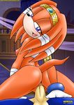 female male mobius_unleashed sonic_(series) straight tikal_the_echidna 