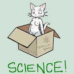  anthro box breasts cardboard cat chrodingers_cat darkdoomer feline herm intersex kittie malfunction ms_paint penis quantum schr&ouml;dinger&#039;s_cat schrodinger science solo tagme 