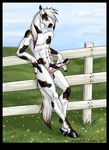 anthro brushfire equine erection fence grass hooves horse horsecock male mammal nude outside paint penis pinto pinup pose solo stallion 