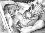  2010 ahkahna anthro black_and_white canine canine_penis claws dragon ear_tufts erection fellatio feral fox gay knot licking male monochrome nude on_back open_mouth oral oral_sex paws penis scalie sex tongue 