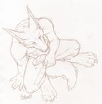  canine catwolf crouching endenden hard horny jackal male penis sketch solo tongue 