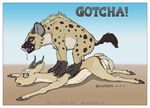  caught drool drooling ecmajor female feral gazelle horn horns hyena lying mammal non-anthro on_front pounce saliva 