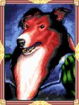  canine dog king&#039;s_quest king's_quest mammal saladin solo unknown_artist 