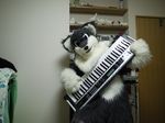  fox fursuit keyboard mammal musical_instrument netiel real solo 