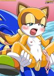  blush breasts female hedgehog male marine_the_raccoon mobius_unleashed panties penetration penis pussy reverse_cowgirl_position sex sonic_(series) sonic_the_hedgehog straight underwear vaginal vaginal_penetration 