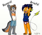  2008 boxers briefs canine cub hair lilchu male pok&eacute;mon pok&eacute;morph raichu underwear uselesskitsune 