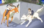  ashitaka brown_hair canine ghibli hair horns mononoke_hime pumapuma san school_uniform street what wolf 