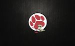  16:10 circle leather paint paintbrush pawprint paws raccoon wallpaper widescreen 