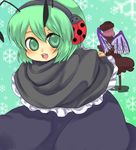  animal_ears antennae bad_id bad_pixiv_id bug capelet earmuffs green_eyes green_hair hat insect ladybug multiple_girls mystia_lorelei pink_hair short_hair taiyouno_hatake touhou wings wriggle_nightbug 