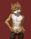  canine fox kiske_7key male pants pubic_hair solo 七鍵きすく 