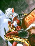  chochi cleavage face_markings feline female gauntlet hair impratical_armor sitting solo sword weapon white white_hair yellow_eyes 