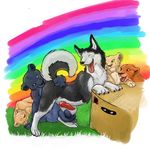  anal black blue_eyes blush box canine cub dog eyes_closed feline female feral gay green_eyes husky kisu knot lion male oral panther penis purple_eyes rainbow rimming solid_snake tongue yellow_eyes 