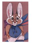  absurd_res chester cute hi_res hug lagomorph male plushie rabbit ribbons ringtail solo terrie_smith 