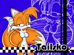  4:3 blue_eyes breasts canine crossgender female fox looking_at_viewer pensuke-kun solo sonic_(series) standard_monitor tailsko wallpaper 