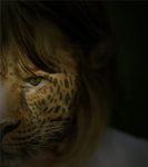  charlesbc feline female leopard photomorph solo 