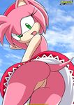  amy_rose butt female hedgehog mobian mobius_unleashed pink pussy sega solo sonic_(series) tail 
