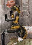  anthro blackdiaraikia breasts canine cross_fox female fox looking_at_viewer mammal nude solo 