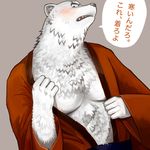  blush japanese_text kurono_rokurou male mammal open_robe polar_bear solo text translated undressing 
