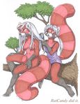  comb couple eyes_closed female grey_eyes hair nightgown nude perched ratcandy red_panda siblings tree white_hair 